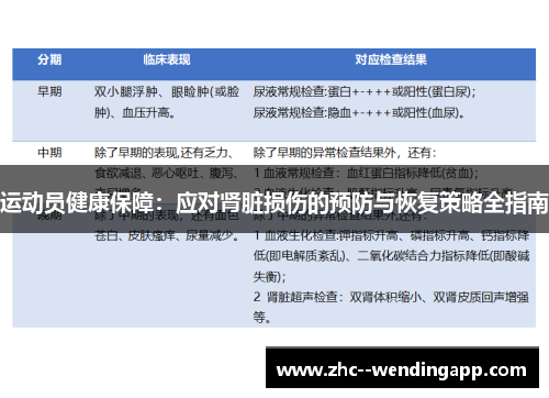 运动员健康保障：应对肾脏损伤的预防与恢复策略全指南