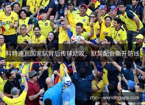 科特迪瓦国家队背后传球助攻,默契配合撕开防线 科特迪瓦国家队背后传球助攻,默契配合撕开防线